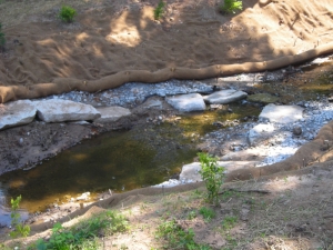 A closer view of the stream bank restoration work