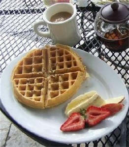 pastries-a-go-go-waffle[1]